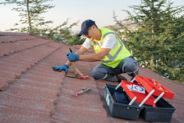 Roof Gutter Cleaning in Ipswich, SD