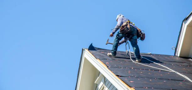 Best Residential Roofing Contractor  in Ipswich, SD